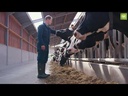 youtube - [Video]