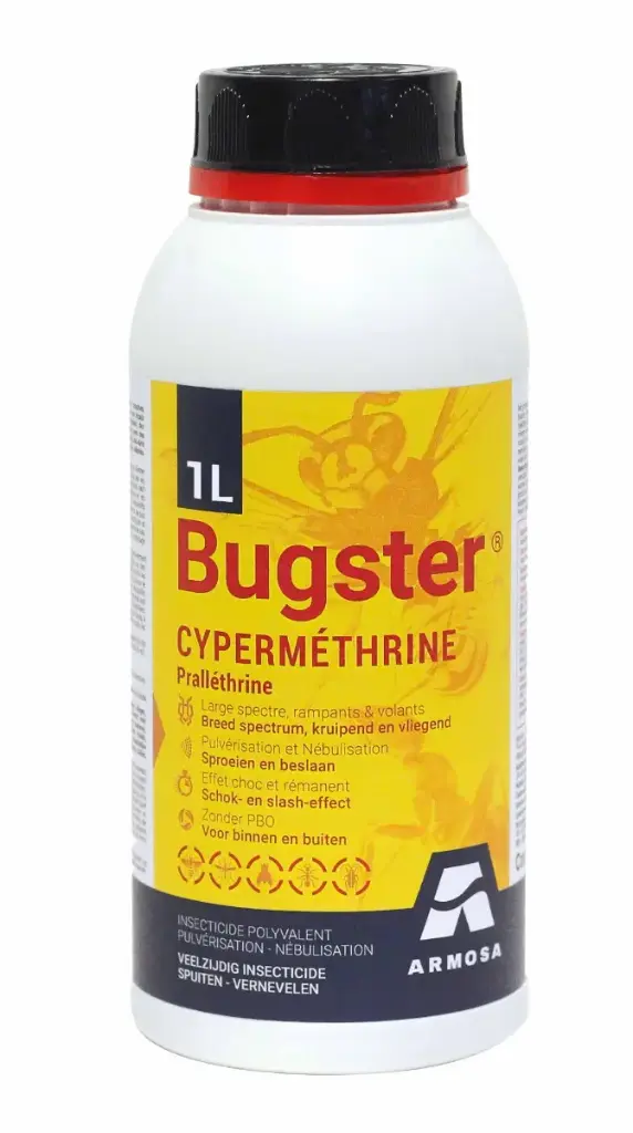 Bugster EC (B-FR)