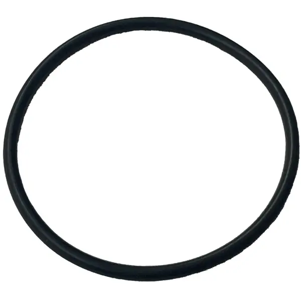 O-ring/M 33,05-1,78 EPDM/P for UV-C Sensor