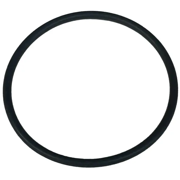 O-ring pour 3/4 stop t.b.v. UV-C Dulcodes 230 & 350 Watt