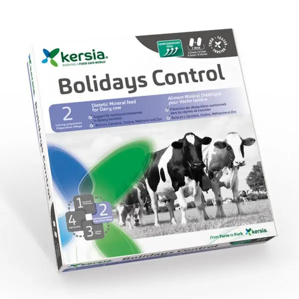 Bolidays Control, 12 bolussen