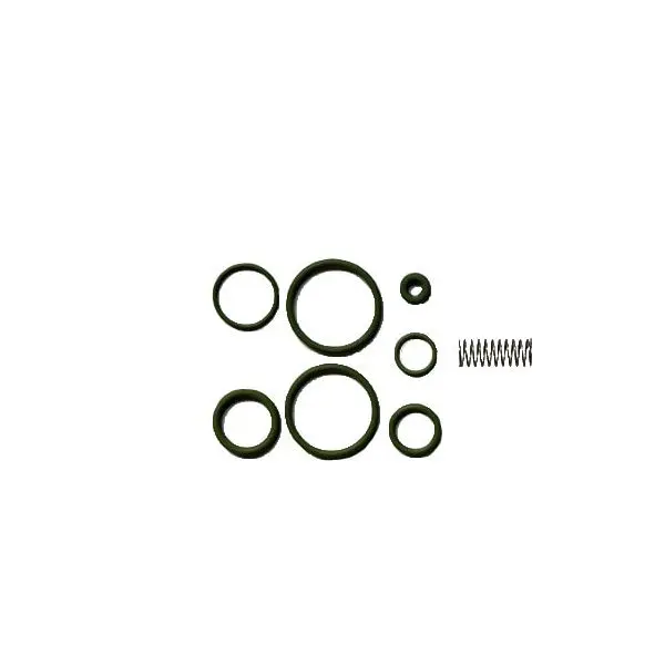 Reparation kit for dosing valve