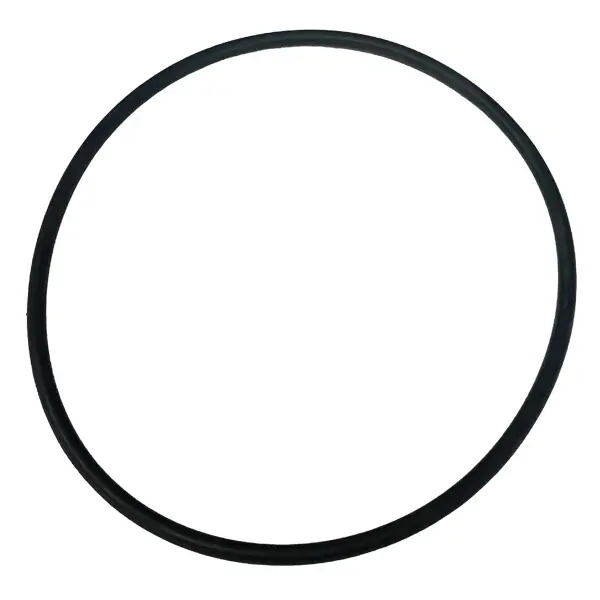 [A02533-O-RING] 