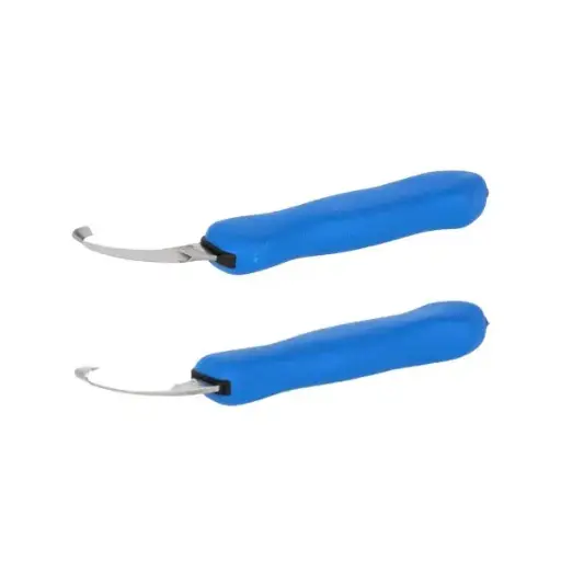 Renette Dick expert, gauche