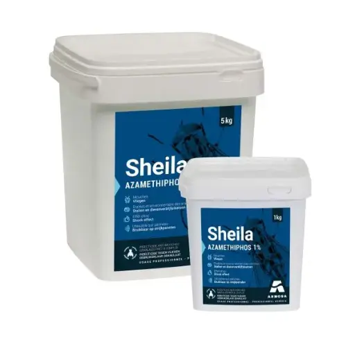 Sheila 