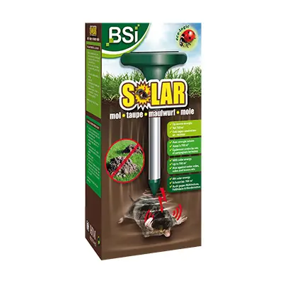 [A02160] Solar taupes