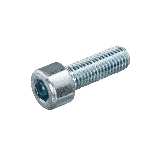 Binnenzeskantbout CK inox 