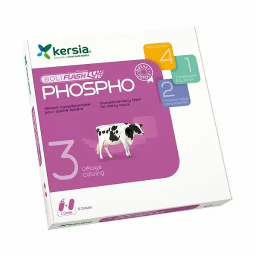 [A02620] Boliflash Phospho, 6 X 2 bolussen